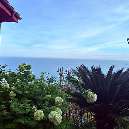 Villa Cielo Costarainera Zewnętrze zdjęcie