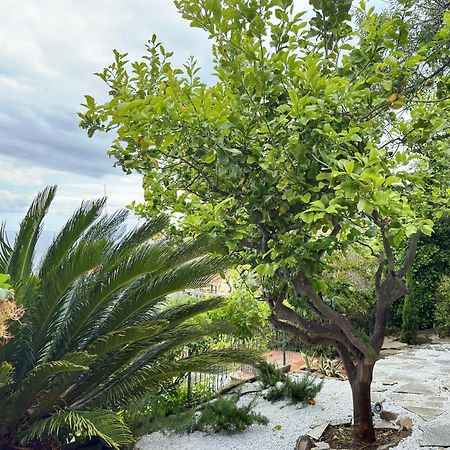 Villa Cielo Costarainera Zewnętrze zdjęcie