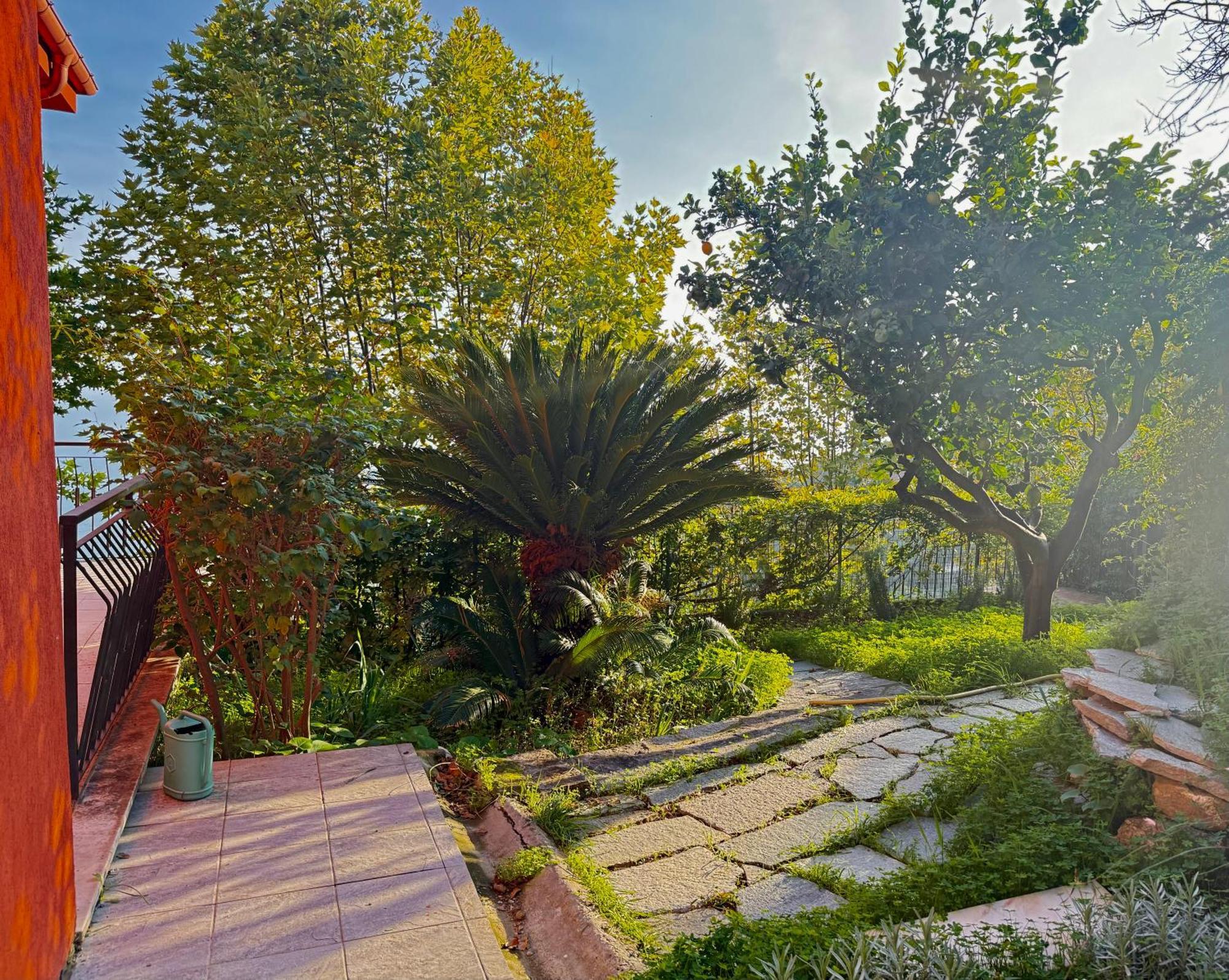 Villa Cielo Costarainera Zewnętrze zdjęcie