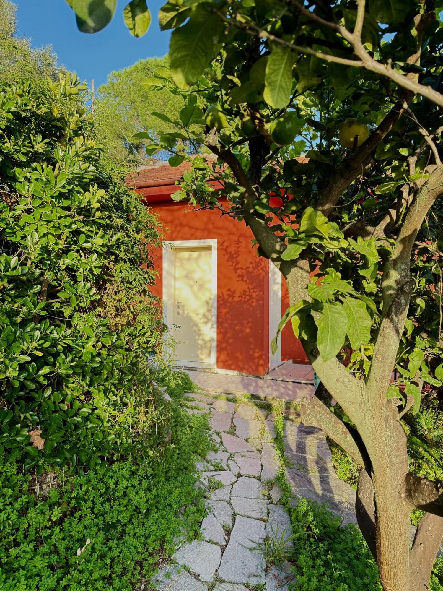 Villa Cielo Costarainera Zewnętrze zdjęcie